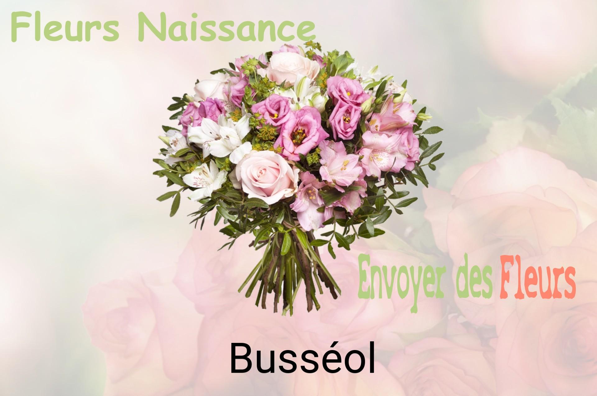 Bouquet de fleurs de naissance livré à Busséol